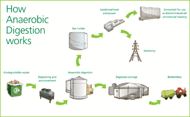 How anaerobic digestion works