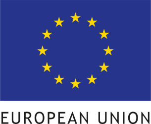 Image showing the European Union flag